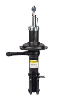 Амортизатор передний. Lada 2110 95-12 RAISO RS312583