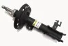 Амортизатор передний. Fiat Croma,Opel Signum, Vectra C, Vectra C GTS 1.6-3.2 04.02- RAISO RS312602 (фото 1)