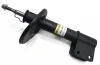 Амортизатор передний. Berlingo/Partner 08/C4 Grand Picasso,Picasso 06- RAISO RS314743 (фото 1)