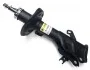 Амортизатор передний. Honda Civic IX 12- RAISO RS339279 (фото 1)