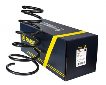 Пружина задньої підвіски Hyundai Tucson/Kia Sportage 04-10 RAISO SR060TP