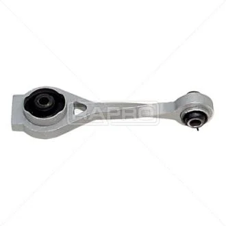 Подушка двигуна задня 1.9dTi Kangoo 00-/Megane 01-03 RAPRO R55219