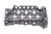 Головка блока цилиндров 2,3dci Renault Master III 2010- Renault RENAULT 110417248R (фото 3)
