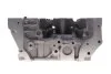 Головка блока цилиндров 2,3dci Renault Master III 2010- Renault RENAULT 110417248R (фото 5)