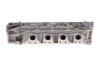 Головка блока цилиндров 2,3dci Master III 2010- RENAULT 110417248R (фото 8)