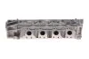 Головка блока цилиндров 2,3dci Renault Master III 2010- Renault RENAULT 110417248R (фото 8)