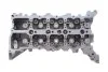 Головка блока цилиндров 2,3dci Renault Master III 2010- Renault RENAULT 110417248R (фото 9)