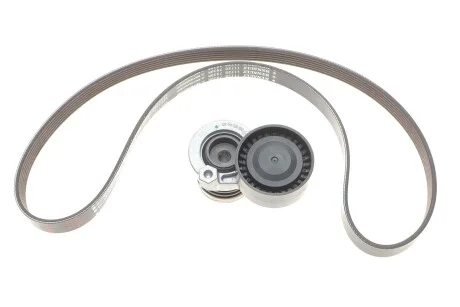 Ремкомплект приводного ремня 6PK1176 1,4-1,6I/1,5dci Renault Duster II, Megane III, Clio IV Renault RENAULT 117201925R