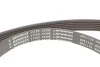 Ремкомплект приводного ремня 6PK1176 1,4-1,6I/1,5dci Renault Duster II, Megane III, Clio IV Renault RENAULT 117201925R (фото 6)