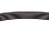 Комплект ремня генератора с AC 1.5dci Renault Kangoo II, Captur, Megane III Renault RENAULT 117202495R (фото 6)