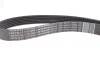 Комплект ремня генератора с AC 1.5dci Renault Kangoo II, Captur, Megane III Renault RENAULT 117202495R (фото 7)