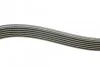 Комплект ремня генератора 1,5dci 1.6 16V Renault RENAULT 117203694R (фото 2)