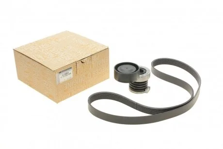 Комплект ремня генератора 1,5dci 1.6 16V Renault RENAULT 117203694R