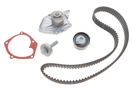 Комплект ГРМ (с помпой) 1,5dci Kangoo I (03-) RENAULT 119A02421R