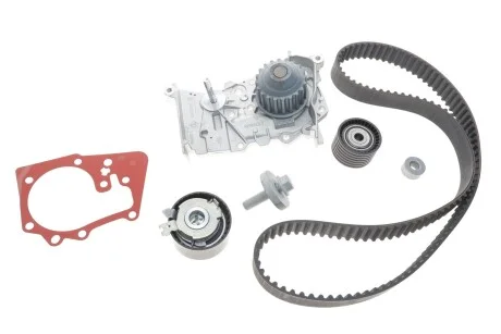 Комплект ГРМ +помпа 1,4/1,6 16V Renault Megane III (09-16) Renault RENAULT 119A04687R