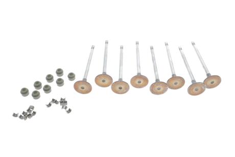 Клапан впускной (8 клапанов + сальники клапанов) RENAULT 7701476596