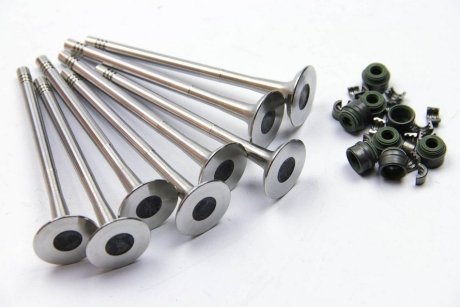 Клапан двигателя выпускной (8шт) 2.3 dci Master III 2010- RENAULT 8201627433