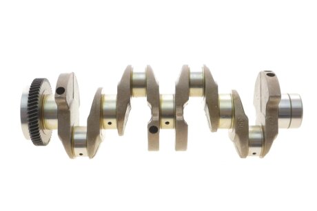 Колінчастий вал ROTWEISS 6510302501