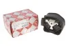 Подушка двигателя ROTWEISS RW24001 (фото 1)