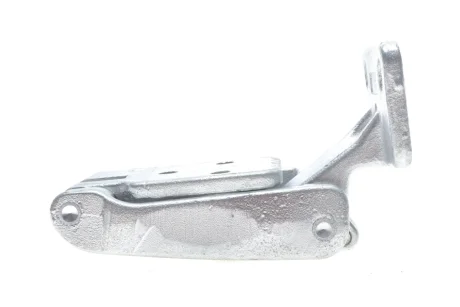 Петля дверей (задніх/нижня/R/270°) MB Sprinter/VW Crafter 06- ROTWEISS RW74007