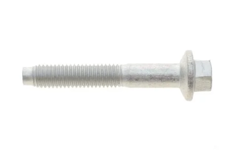 Болт кріплення форсунки ROTWEISS RWS3882