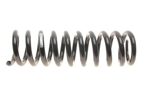 Пружина SACHS 996072
