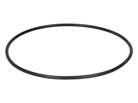 Уплотнительное кольцо SAF 4315006400