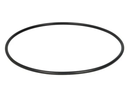 Уплотнительное кольцо SAF 4315006400