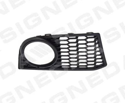 Решетка в бампер BMW 5 (F10/F11), 10 - 16 Signeda PBM99079CAR