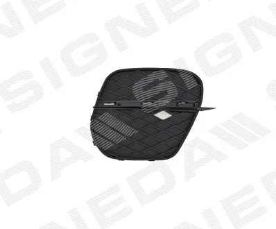 Решітка в бампер BMW X5 (E70), 04.10 - 11.13 Signeda PBM99114CAR