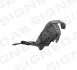 Подкрылок SUBARU IMPREZA, 08 - 12 Signeda PSB11027CR (фото 1)