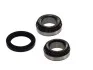 Подшипник ступицы, комплект FORD/MAZDA Escort/Fiesta/Orion/121 "R "1,3/2,8L "89-03 SKF VKBA1333 (фото 1)