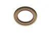 Подшипник ступицы, комплект MITSUBISHI Eclipse/Galant/Space Runner/Space Wagon "F "1,8/2,0L "87-88 SKF VKBA1970 (фото 7)