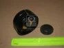 Ролик модуля натяжителя ремня SKF VKM 31062 (фото 2)