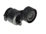 Натяжитель ремня RENAULT Clio/Megane "1,9/2,0L "02>> SKF VKM36072 (фото 2)
