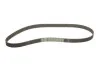 Комплект ГРМ AUDI/VW 80/Golf/Jetta/Passat/Santana/Transporter "1,5-1,7D "76-93 SKF VKMA 01010 (фото 2)