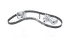 Комплект ГРМ AUDI/SEAT/SKODA/VW A4/A6/Exeo/Superb/Passat "1,8-2,0 "95-10 SKF VKMA01918