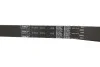Комплект ГРМ FIAT Brava/Bravo/Doblo/Marea/Palio/Punto/Strada "1,9D "96>> SKF VKMA 02174 (фото 3)