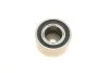 Комплект ГРМ FIAT/LANCIA Albea/Brava/Doblo/Marea/Miltipla/Palio/Stilo/Dedra/Delta/Lybra "1,6 "95- SKF VKMA 02242 (фото 8)
