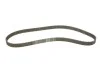 Комплект ГРМ CITROEN/FIAT/LANCIA/PEUGEOT/SUZUKI Berlingo/Jumpy/Ducato/GrandVitara "2,0D "98>> SKF VKMA 03246 (фото 2)