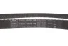 Комплект ГРМ FORD Cougar/Focus/Mondeo/TourneoConnect/Transit/Connect "1,6-2,0 "96-13 SKF VKMA 04214 (фото 7)