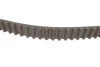Комплект ГРМ FORD/MAZDA Fiesta/Focus/Fusion/2 "1,25-1,6 "01>> SKF VKMA 04226 (фото 3)