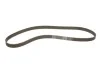 Комплект ГРМ CHEVROLET/OPEL Captiva/Antara/Frontera/OmegaB/Sintra "2,2,-2,4 "95>> SKF VKMA 05228 (фото 3)