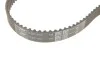 Комплект ГРМ HONDA/NISSAN/OPEL/RENAULT Stream/Primastar/Movano/Laguna/Trafic "2,0-2,5 "00>> SKF VKMA 06503 (фото 4)