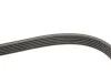 Комплект ГРМ AUDI/SEAT/SKODA/VW A1/A3/Q3/TT/Fabia/Octavia/Caddy/Golf/Jetta/Passat "1,2-2,0TDI "12 SKF VKMA 31098 (фото 3)