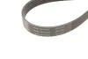 Комплект ГРМ AUDI/SEAT/SKODA/VW A1/A3/Q3/TT/Fabia/Octavia/Caddy/Golf/Jetta/Passat "1,2-2,0TDI "12 SKF VKMA 31098 (фото 4)