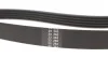 Комплект ГРМ NISSAN/RENAULT Almera/Megane "1,4-1,6 "98>> SKF VKMA 36058 (фото 3)