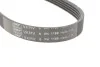 Комплект ГРМ NISSAN/RENAULT Almera/Megane "1,4-1,6 "98>> SKF VKMA 36058 (фото 5)