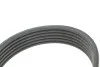 Комплект ГРМ MAZDA 6 "1,8-2,0 "07-13 SKF VKMA 64114 (фото 12)
