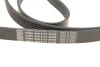 Комплект поликлинового ремня SKF VKMA 64119 (фото 4)
